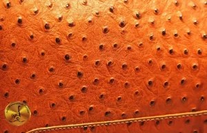 Secrets of Ostrich Leather